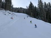 Piste difficile 14 Balbach-Ochsengarten