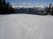 Piste parfaitement préparée