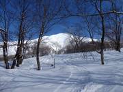Paradis de poudreuse à Niseko