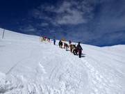 Ascension au Mt. Niseko Annupuri