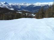 Descente en forêt à Sauze d'Oulx