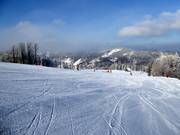 Large piste Szczyrkowska