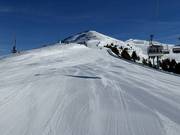 Très bonne préparation des pistes