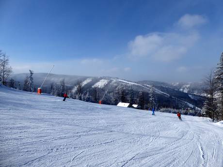 Pologne: Taille des domaines skiables – Taille Szczyrk Mountain Resort