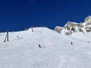 Piste noire Nuova Cima Uomo