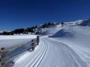Piste de ski de fond Platschjoch