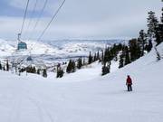 Piste près de la télécabine Needles