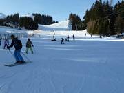 Espace débutant au téléski Almboden