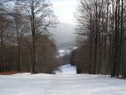 Descente à travers la forêt jusqu'à la station de la vallée