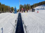 TR2 Rullband Skidskoleliften - Tapis roulant/Moving Carpet