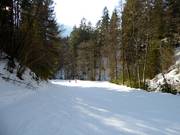 Descente vers la vallée Sauhöll jusqu'à Bayrischzell