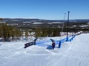 Speed Ski dans la partie inférieure de la piste World Cup