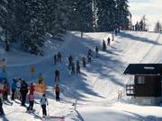 Seillift Abfahrt Tauplitz - Télécorde/remonte-pente à câbles bas