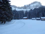 Pistes de ski de fond à la Blaa-Alm