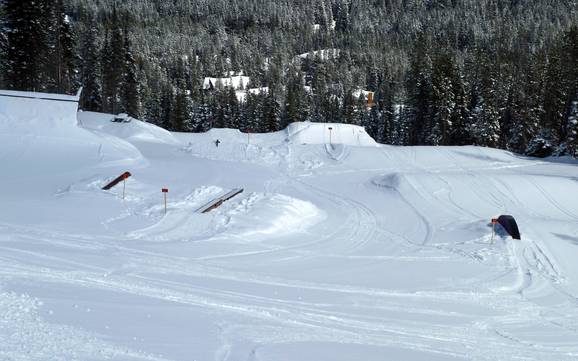 Snowparks Alberta du Sud – Snowpark Castle Mountain