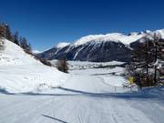 Piste d’aventure facile Mountys à Celerina