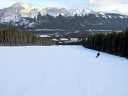 Piste Lower Homesteader