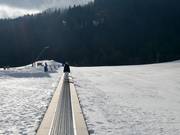 Piste idéale pour débutants