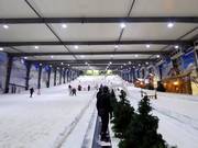 Piste d'entraînement au tapis roulant