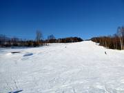 Piste Åslia Skisenter