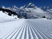 Des pistes parfaites avec vue sur l’Eiger, le Mönch et la Jungfrau