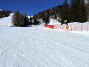 Piste d'entraînement Campo Scuola Gardoné au-dessus de Predazzo