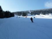 Piste 3 Pařezovka et 5 Pod Zámečkem