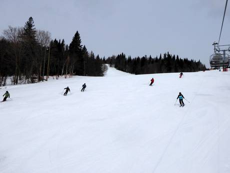 Diversité des pistes Capitale-Nationale – Diversité des pistes Mont-Sainte-Anne