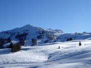 Vue sur le domaine skiable Steinplatte
