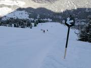 Piste difficile 8 Mohrenkopf