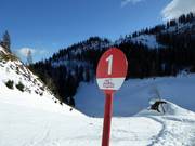 Balisage des pistes