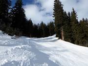 Piste noire de descente vers Disentis