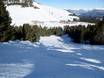 Domaines skiables pour skieurs confirmés et freeriders Dolomites de Fiemme – Skieurs confirmés, freeriders Jochgrimm (Passo Oclini)