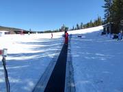 Big Sky Carpet Surface Lift 5 (Skiwee) - Tapis roulant/Moving Carpet