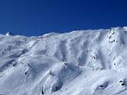 Piste noire Black Mamba