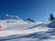 Larges pistes pour débutants et amateurs