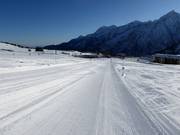 Parfaite piste pour débutants Valbiolo au Passo del Tonale