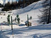 Bois des Coqs 1 - Téléski