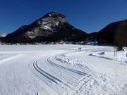 De belles pistes de ski de fond à Bad Häring