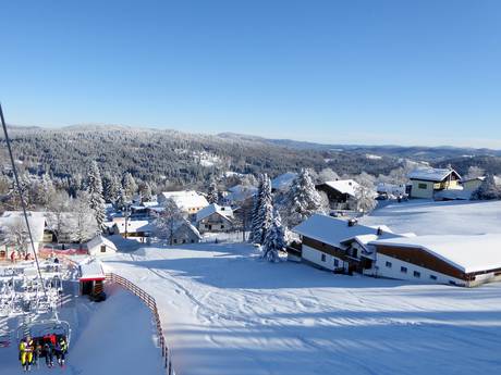 Forêt de Bavière: offres d'hébergement sur les domaines skiables – Offre d’hébergement Mitterdorf – Almberg