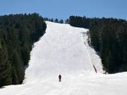 Piste noire Chalin Valog