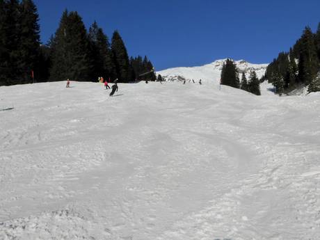 Domaines skiables pour les débutants dans les Alpes uranaises – Débutants Meiringen-Hasliberg
