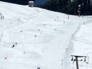 Piste de course au téléski Alblitt