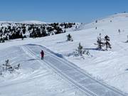 Pistes de ski de fond à Hafjell
