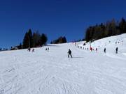 Piste d'entraînement au téléski Bidner