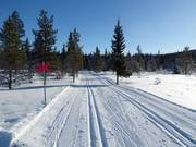 Piste de ski de fond à Högfjället (Sälen)
