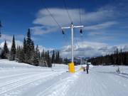 Home Run Tee - Téléski à pioches