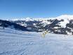 Alpes orientales centrales: Taille des domaines skiables – Taille Zillertal Arena – Zell am Ziller/Gerlos/Königsleiten/Hochkrimml