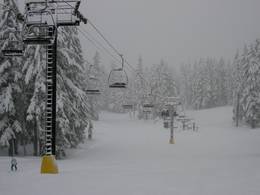 Domaine skiable Timberline