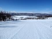 Piste n° 15 Direkten